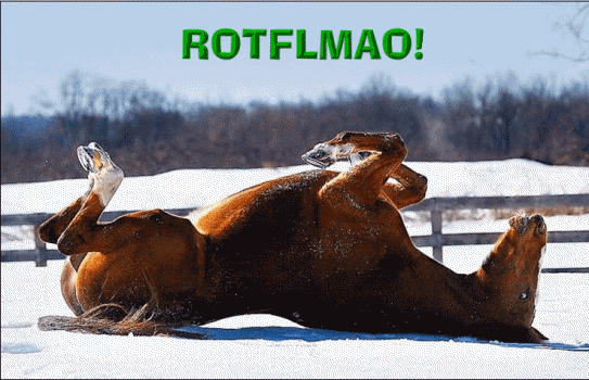 Image result for rotflmao gif