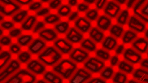 giphy.gif