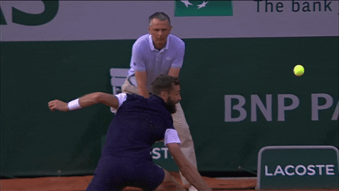 France Fall GIF by Roland-Garros - Find & Share on GIPHY