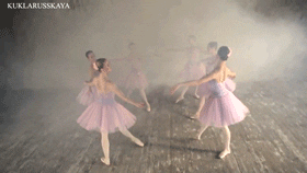 dance ballet dancer ballerina pointe