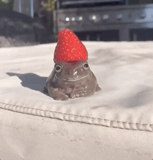 Frog with a strawberry cap for the summer bucket list

Strawberry Fields Fruit GIF By Pog The Frog

https://media.giphy.com/media/idYdfZ9xxVgVPNXjs0/giphy.gif