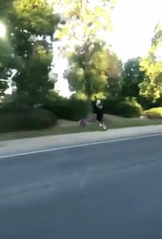 Just a dude walking his pets in wtf gifs