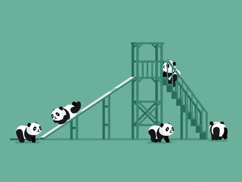 Loop Panda GIF