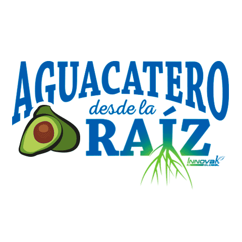 Avocado Raiz Sticker by Innoval Global for iOS & Android | GIPHY