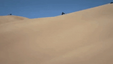 The beauty of this dune