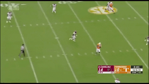 Tennessee GIF