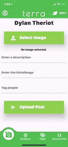Alt Text