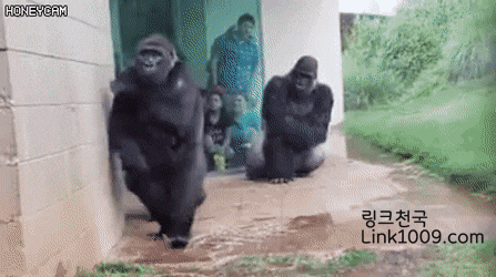급식 먹고 나와서 우산도 없는데 비올 때