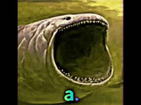 GIF