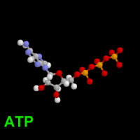 Resultado de imagen de ATP gifs"