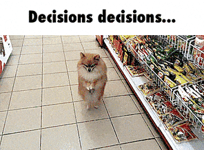 A dog walking through a supermarket on its hind legs. Text reads, 