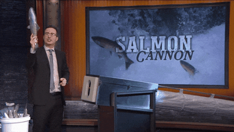 John Oliver Salmon Cannon Gif By Gif