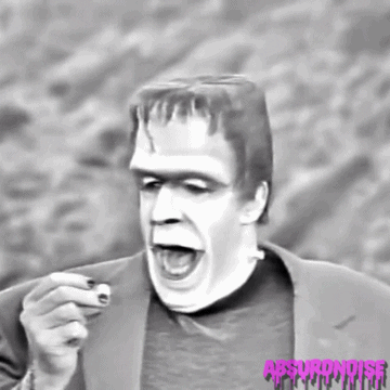The Munsters 1960S GIF by absurdnoise