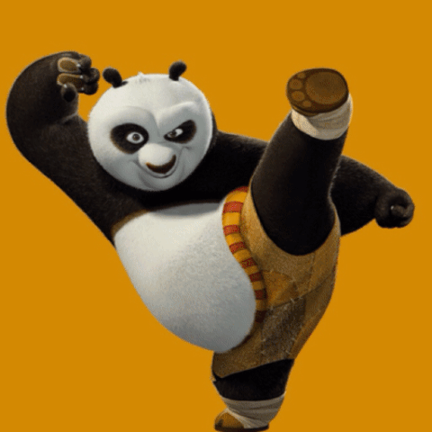 Kung Fu Panda GIF - Find & Share on GIPHY