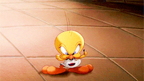 Tweety GIFs - Find & Share on GIPHY