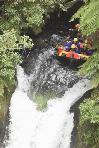 Cosas que hacer en Rotorua - Escapadas y rutas por la Nueva Zelanda menos conocida (55)