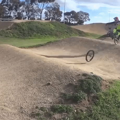 Chasing Tyre in funny gifs