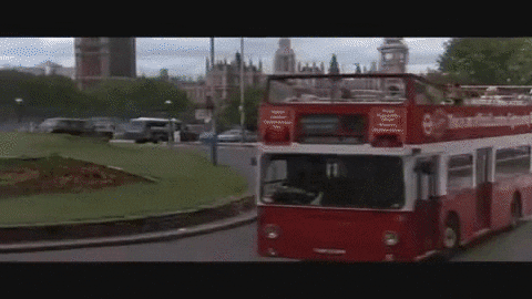 Cat Story GIF - Find & Share on GIPHY