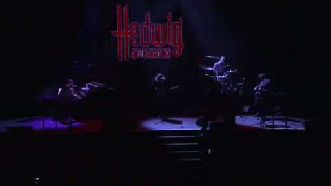 Hedwig And The Angry Inch GIF by Obie Awards - Find & Share on GIPHY