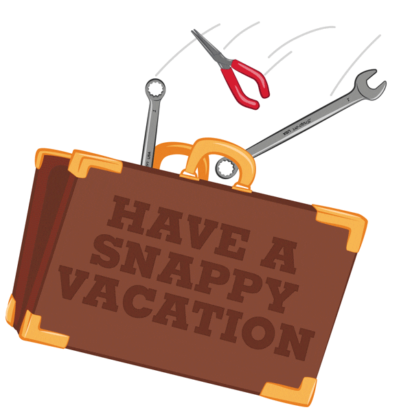 Suitcase GIFs Find & Share on GIPHY