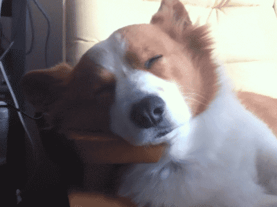 Woke Up GIFs - Find & Share on GIPHY
