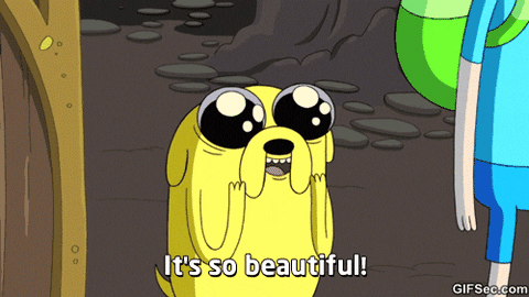 Gif of Jake, a yellow dog with wide, lit up eyes, saying "It's so beautiful!", from the show Adventure Time