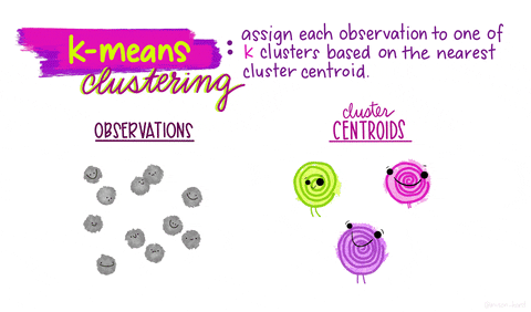 The Process of K-means Clustering by Allison Horst. No copyright infringement intended