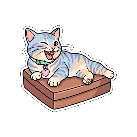 Cat wink GIF