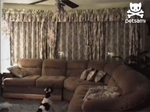 Https Encrypted Tbn0 Gstatic Com Images Q Tbn 3aand9gcqwza7ki6wh2k5zct5k 2pdnuttm7crpobcouminr5m6u7wz9e6