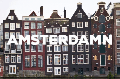 El gobierno holandés ha decidido levantar la prohibición d - Requisitos covid Ámsterdam ✈️ Foro Holanda, Bélgica y Luxemburgo