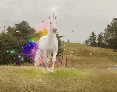 unicorn, fired