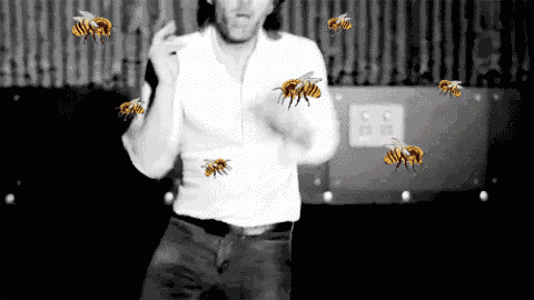 Gif of a man frantically moving his arms while cartoon bees swarm him.