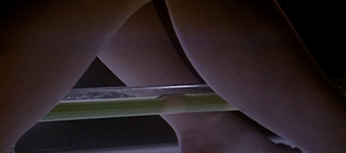 Gif Shortener Shorten Gif Shortener Shorten