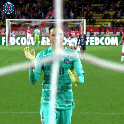 France Applause GIF by Paris Saint-Germain