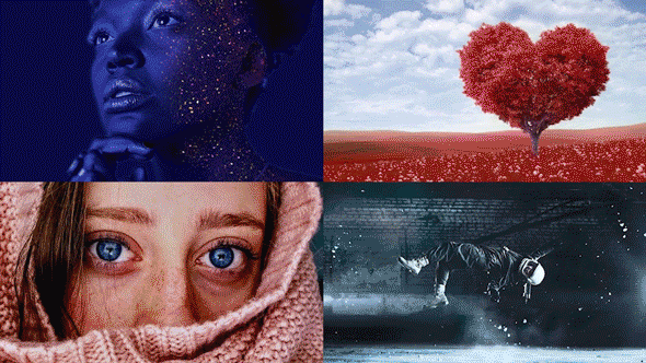 1000 Premiere Pro Transitions - 10
