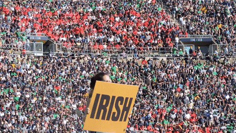 Notre Dame Nd GIF by Notre Dame Fighting Irish - Find & Share on GIPHY