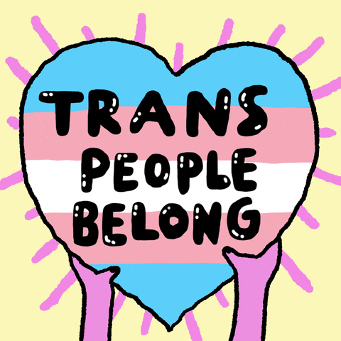 'Trans People Belong' written on a Trans flag in a heart shape