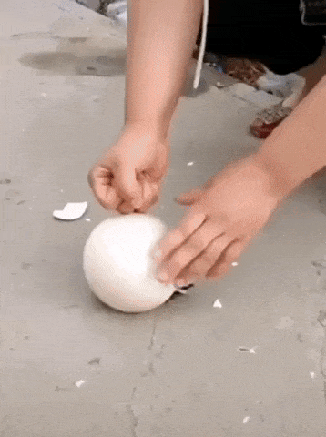 Your life starts now in funny gifs