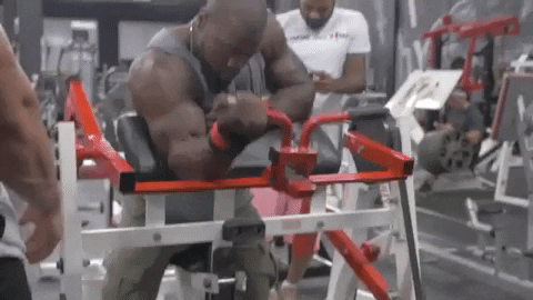 Single-Arm Preacher Curl Mike Rashid