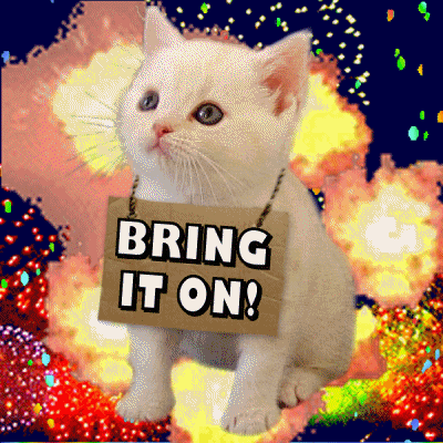 Cat with tag around it saying Bring it on and fireworks exploding in the background