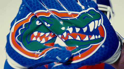 University of Florida GIF