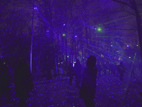 Toronto Zoo Lasers GIF by Moment Factory - Find & Share on GIPHY