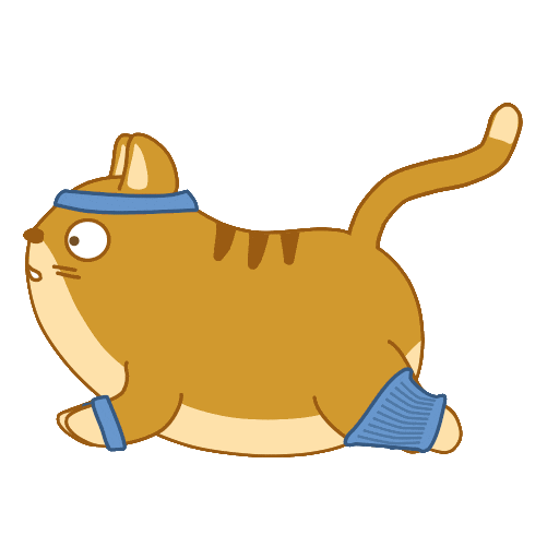 Cat Fitness Sticker by Share It Again for iOS & Android GIPHY