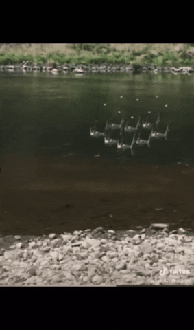 Skipping a rock : r/Unexpected