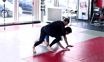 39+ Brazilian Jiu Jitsu Gifts Images