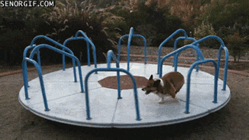 Merry Go Rounds GIFs - Find & Share on GIPHY