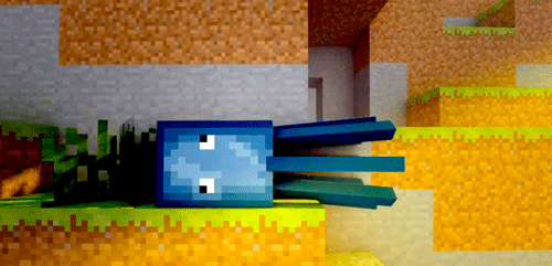 Squid GIF - Find & Share on GIPHY