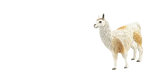 Image result for dancing llama gif