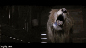 https://media.giphy.com/media/jF7X7AGKOrGX6/giphy.gif