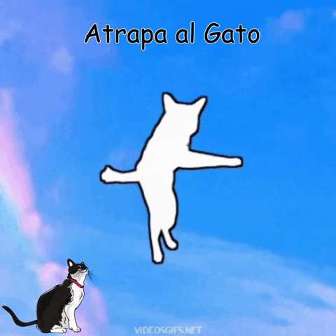 Dancing catto in gifgame gifs